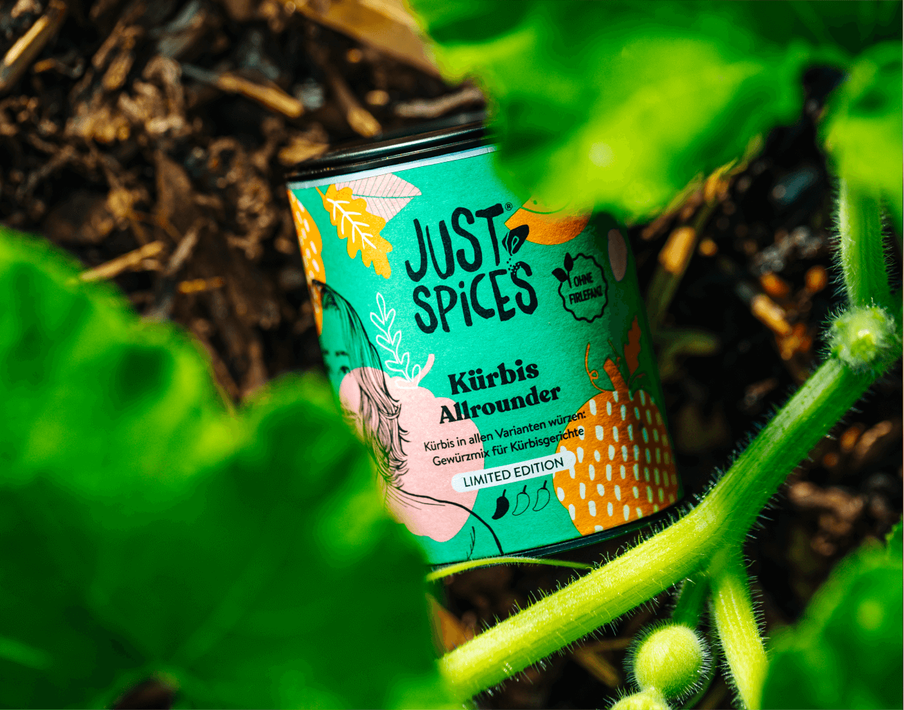 Kürbis Allrounder - Herbst Edition