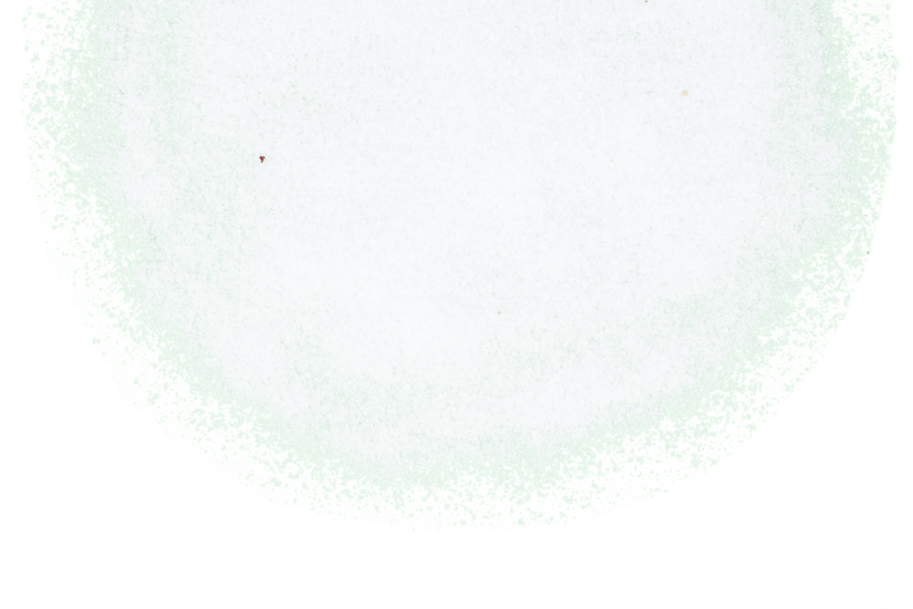 Just Spices - Meersalz - detail image