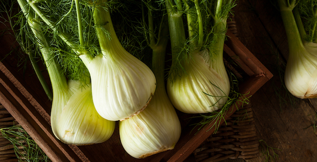 Fenchel kochen - wie kann man Fenchel zubereiten?