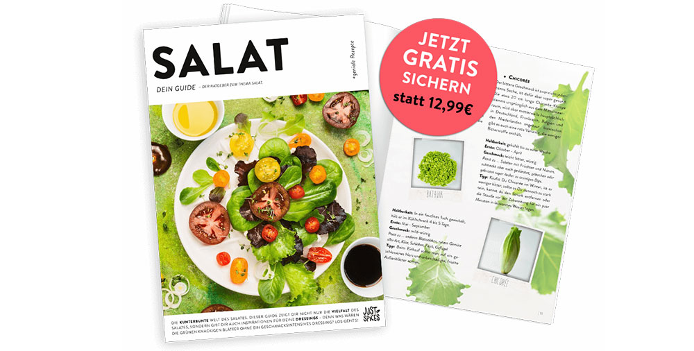 Salat Guide