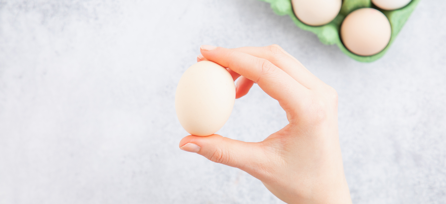 Eier Inhaltsstoffe