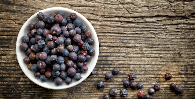 Getrocknete Wacholderbeeren in kleinem Schälchen