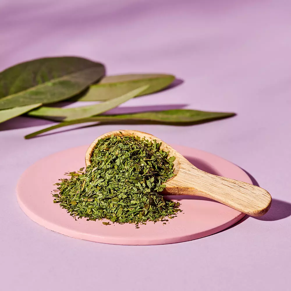 Just Spices - Bärlauch