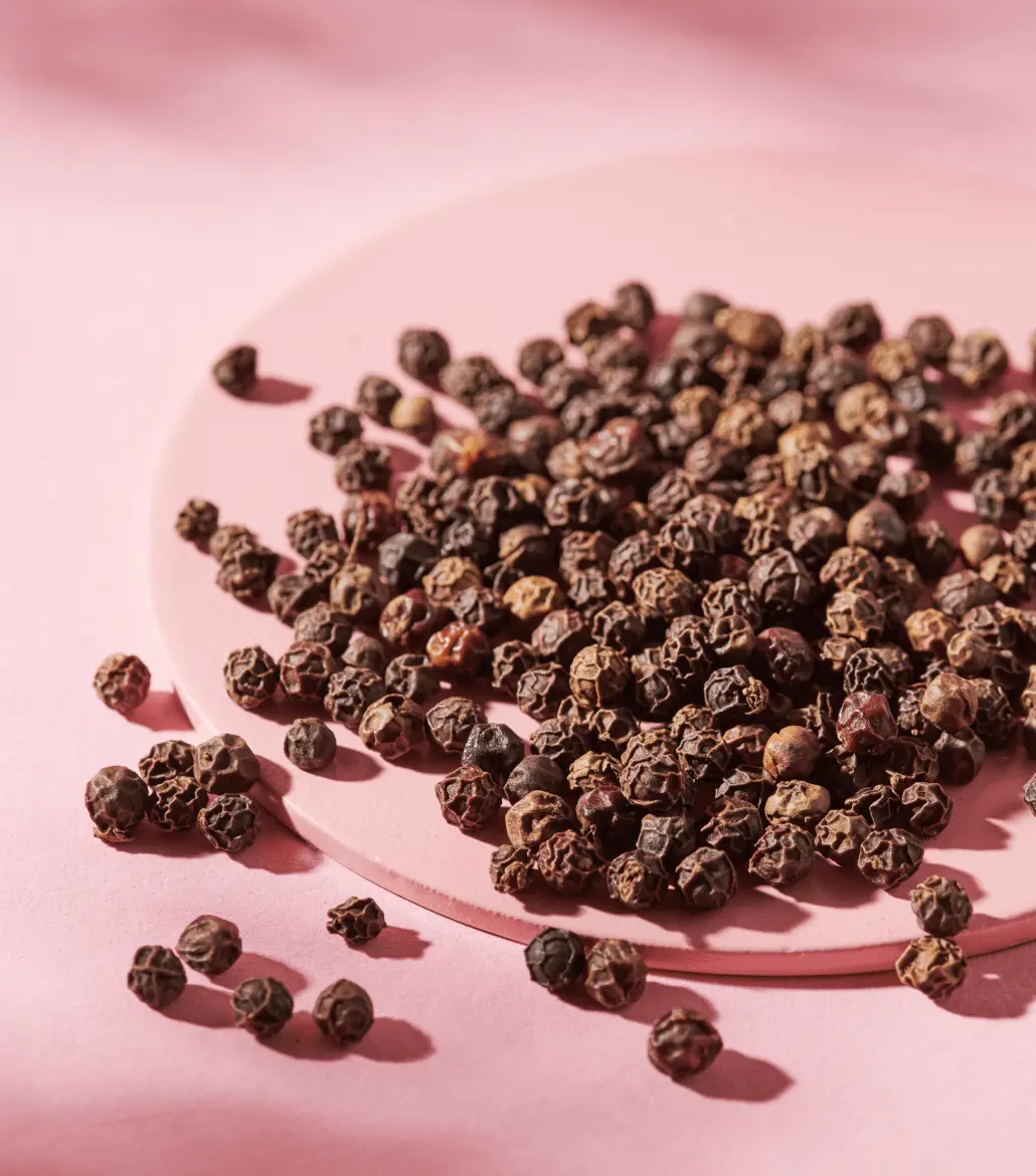 Just Spices - Küchen Basics Set 