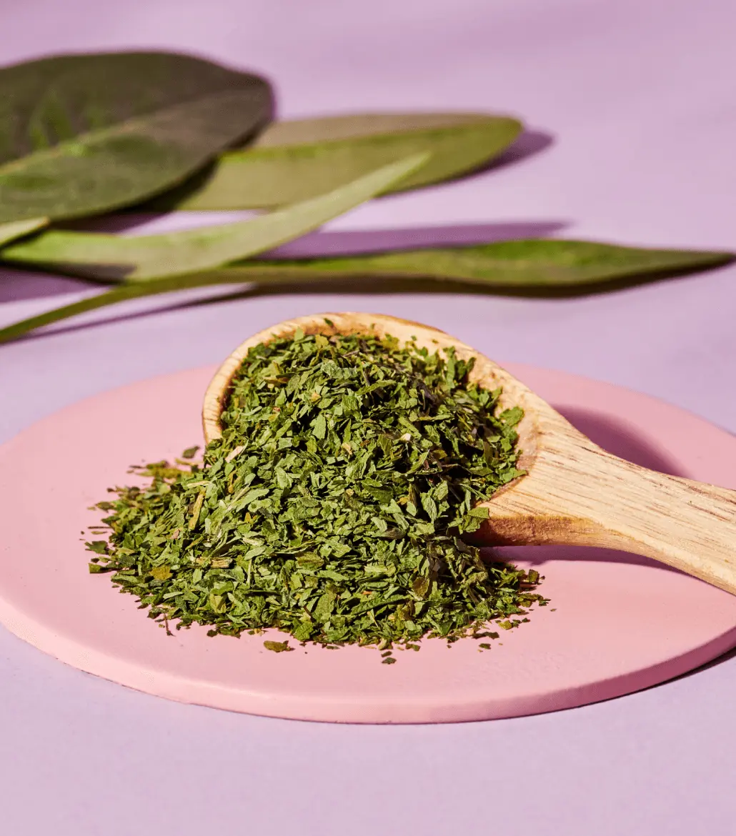 Just Spices - Kräuter Set