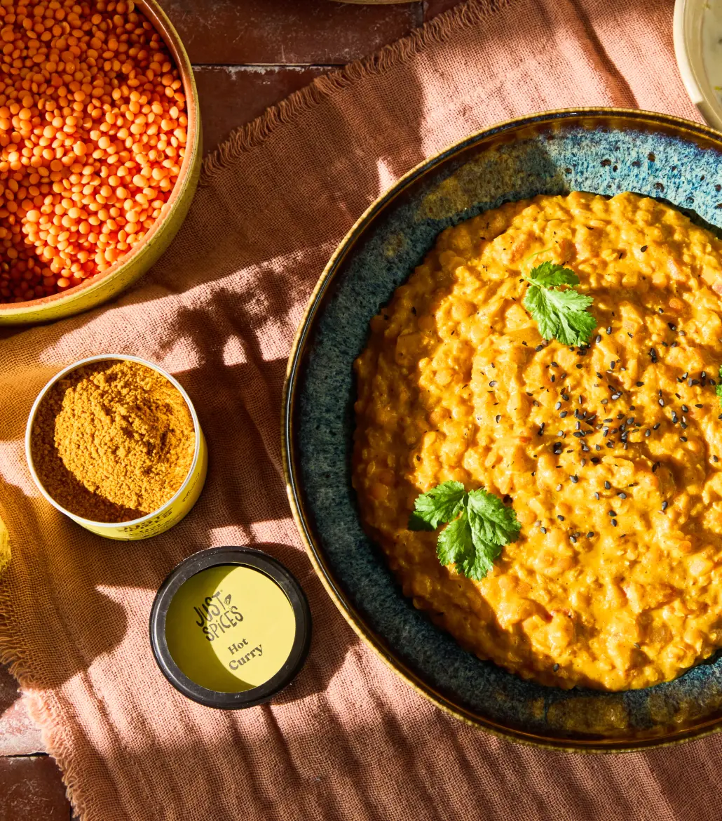 Just Spices - Hot Curry