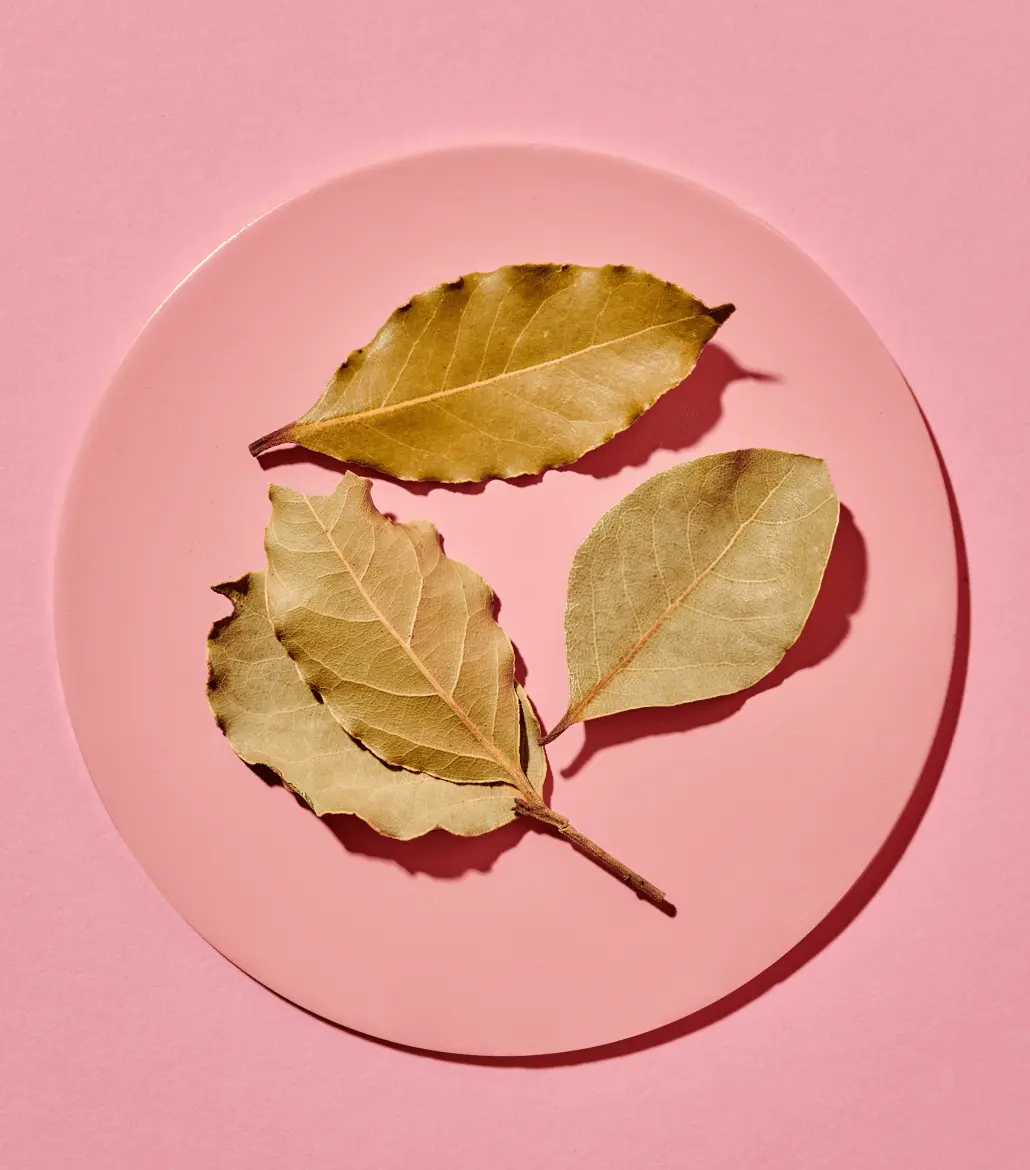 Just Spices - Kräuter Set