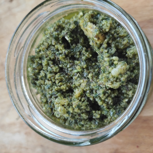 Basilikum Walnuss Pesto