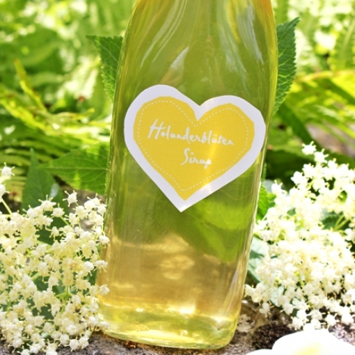 DIY Holunderblüten Sirup