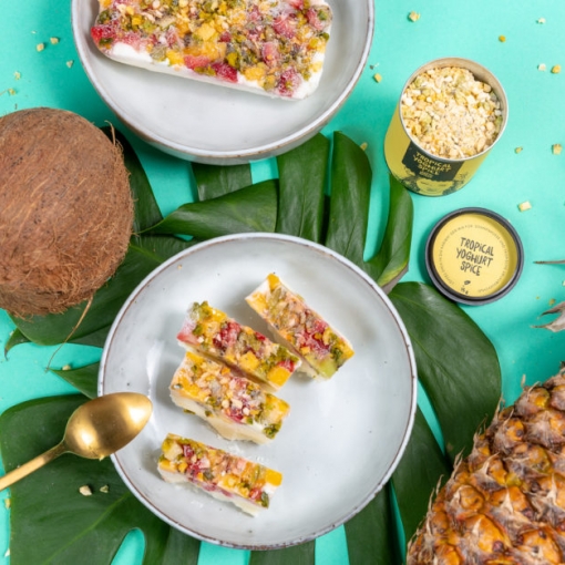 Tropical Frozen-Joghurt-Riegel