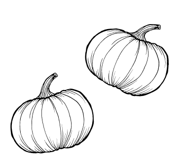 Kürbis Illustration