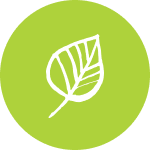 Bio Gewürzmischung
