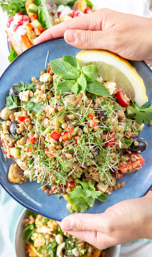 Orientalischer Linsensalat mit Kräutern und Zitronenspalte