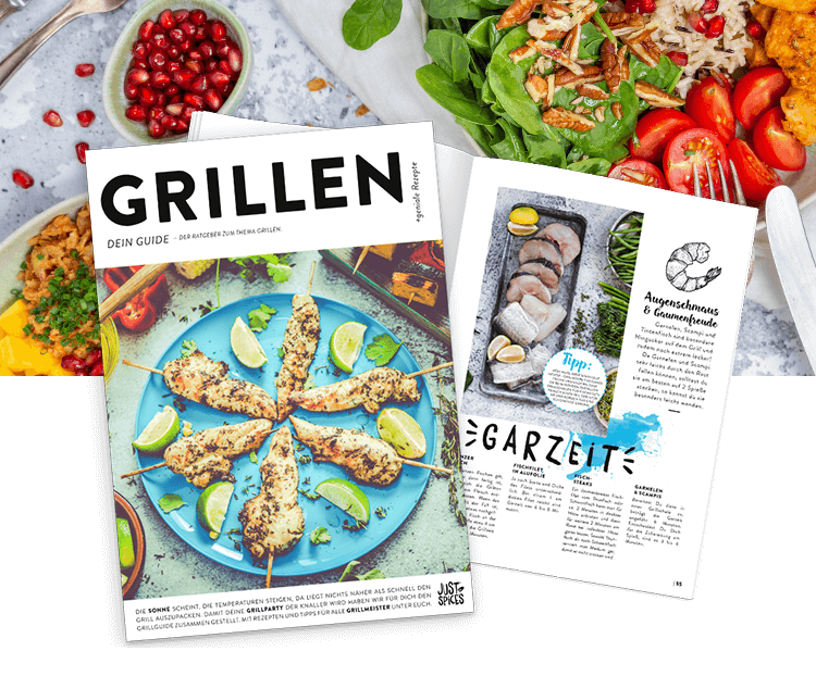 Grill Guide