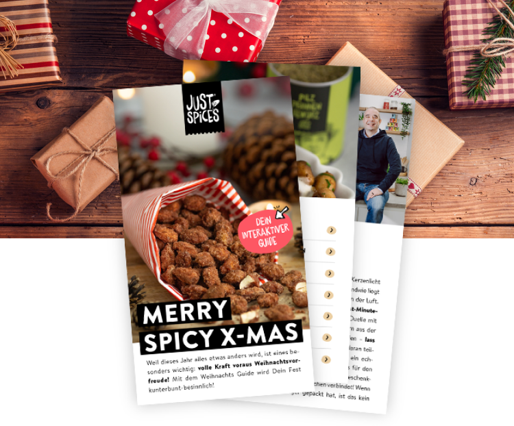 Weihnachts Guide