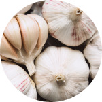 Knoblauch