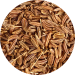 Kümmel