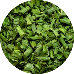 Cebollino