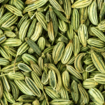 Fenchel