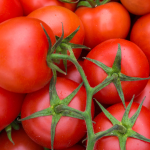 Tomate