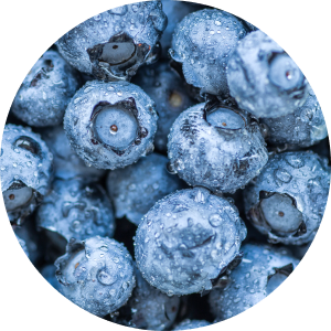 Blaubeeren