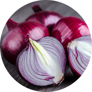 Cebolla morada