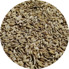 Fenchel