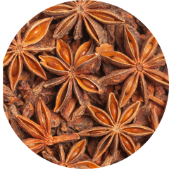 Sternanis