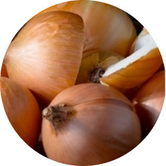 Zwiebel