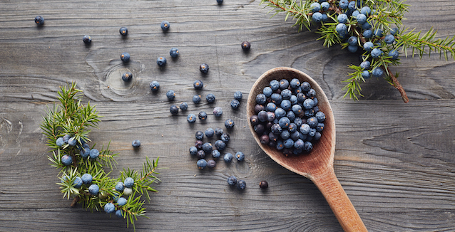 Wacholderbeeren auf einem Holzlöffel