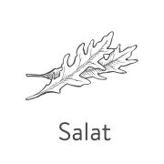 Salat