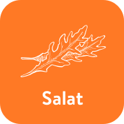 Salat